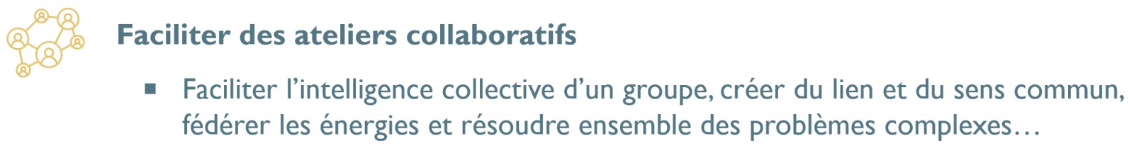 Training - Facilitate collaborative / collective intelligence workshops